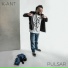 K-ANT