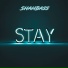 ShahBass