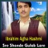 Ibrahim Agha Hashmi