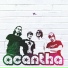 acantha