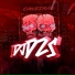 DJ DZS