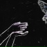 MANCATCHER, .blind