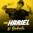 Mc Hariel