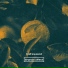 Pvpi Frvnko, Brunch Collect
