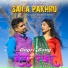 Sanjay Kumar, Meera Kashav