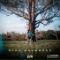 ZÉZIIN, Trindade Records feat. Love Funk