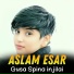 Aslam Esar