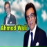 Ahmad Wali