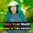 Raza Noor Wazir