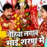 Alok Anish Yadav