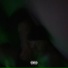 baycarti