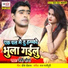 Jebi Maurya