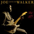 Joe Louis Walker