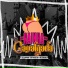 Dj Serpinha, MC Menor MT, Mc Torugo
