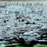 Sonidos de Armonía, Schola Camerata