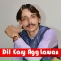 Tanveer Hazarvi