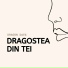 Dragon Days