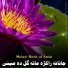 Molavi Rooh ul Amin