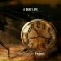 The QuietLife Project