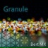 Bert MX