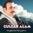 Gulzar Alam