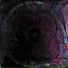 Bongy