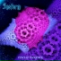 Instorm