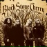 Black Stone Cherry [http: musvkontakte.ru]