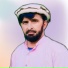 Hazir Gull