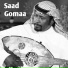 Saad Gomaa