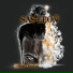 Sas-Leon