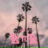 MER-L1N