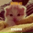 Berghman
