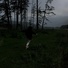 LAMAI