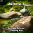 Calm Music, Relaxing Music, Yoga