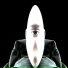 The Speed Freak