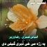 Alyas Sabari, Raza Wazir