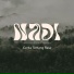 NADI