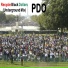PDO