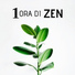 Pura Meditazione Zen