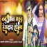 Sunny Singh, Shrishti Bharti