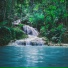 NATURE OF LIVE