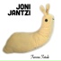 Joni Jantzi