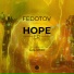 Fedotov