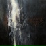 Infestus