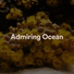 Relaxing Sea Sounds