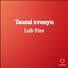 Lub Fire