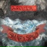 Shark Speed