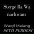 waqif malang feat. Seth Perdesi