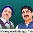 Raees Bacha feat. Mazhar
